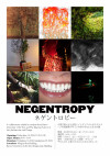 NEGENTROPY ネゲントロピー